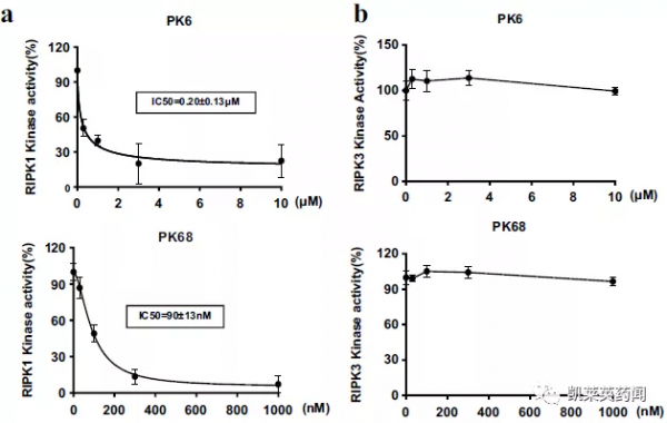 靠臨床前專案，愛科諾生物完成超5000萬美元B輪融資