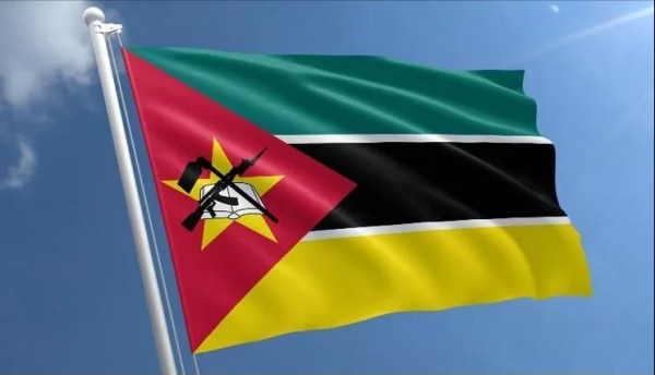 29個冷知識：或許看起來不可思議，但有著科學依據的有趣知識