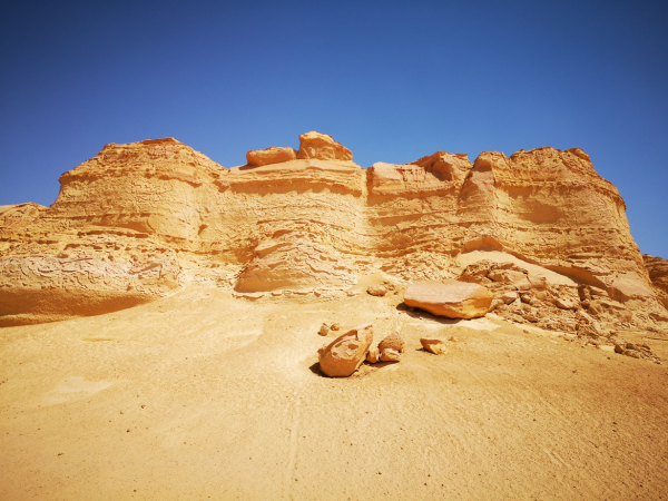 這一年，我們透過頭條看世界