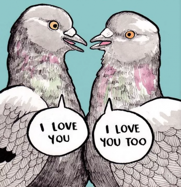 和海鷗一起去碼頭整點薯條吧 | 夜讀 和海鷗一起去碼頭整點薯條吧 | 夜讀