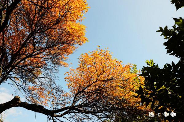 大美川西系列1-畢棚溝 桃坪羌寨 甘堡藏寨 兩日遊攻略