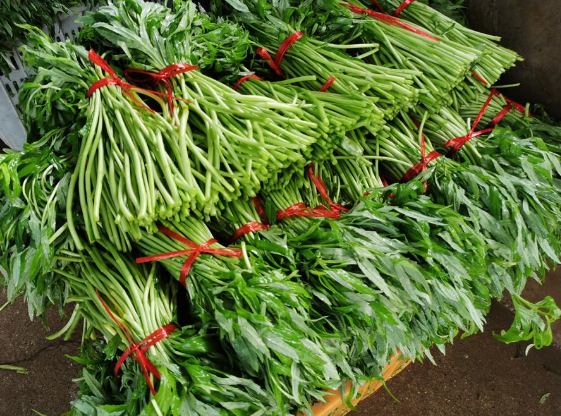 藜蒿：曾是農村的&OpenCurlyDoubleQuote;餵豬草&rdquo;，如今1&ZeroWidthSpace;斤&ZeroWidthSpace;30元，春節後最鮮嫩