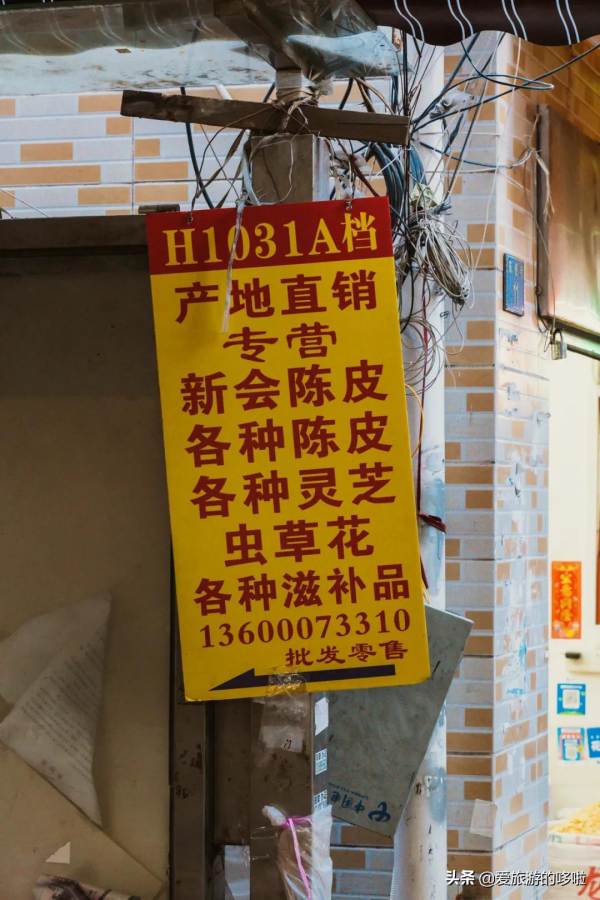 每個廣東阿媽都是“行走的湯譜”，就沒有她煲不出的湯