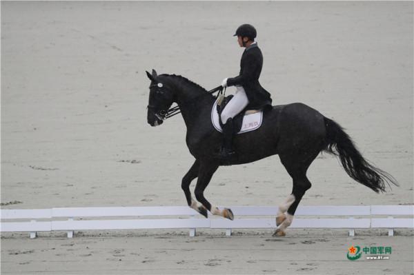 全運會馬術專案︱盛裝舞步個人賽 顧兵雨中摘金牌