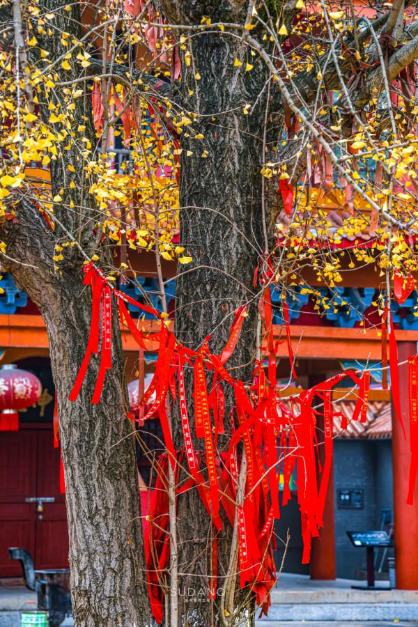 湖南有座古剎，相傳被“五條龍”守護，是湘潭境內四大古剎之一