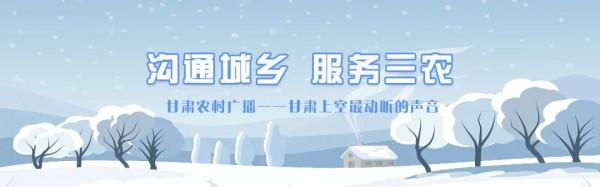 關於大白菜的常見問題，一圖說清