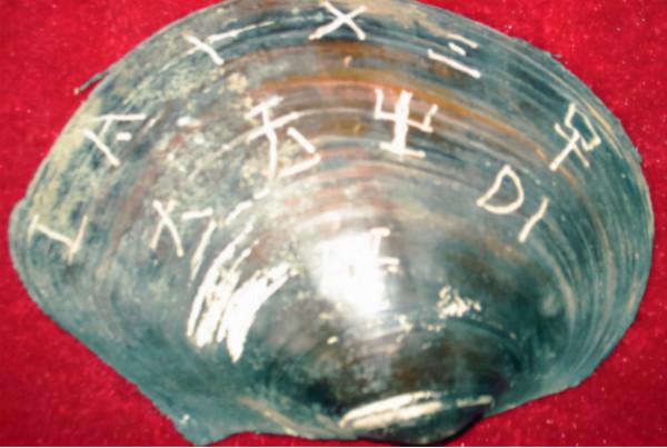 “東方神木”驚現四川，樹齡超3000年特罕見，和三星堆文明有關？