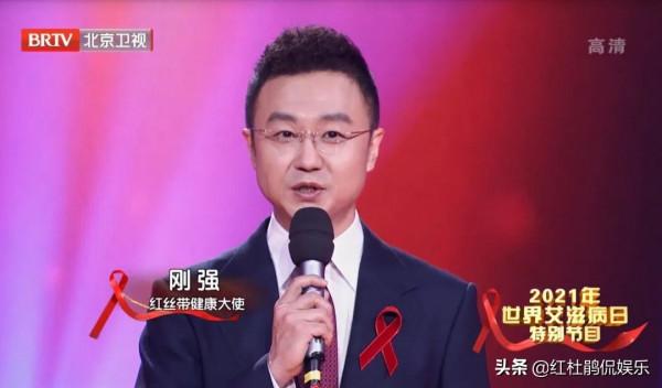 繼白巖松和敬一丹之後，剛強與王寧成為了央視專題晚會御用主持人