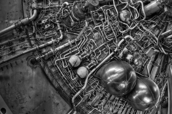 33張活久未見的照片,200 公斤重的藍鯨心臟,螞蟻腿上安裝高蹺 33張活久未見的照片,200 公斤重的藍鯨心臟,螞蟻腿上安裝高蹺