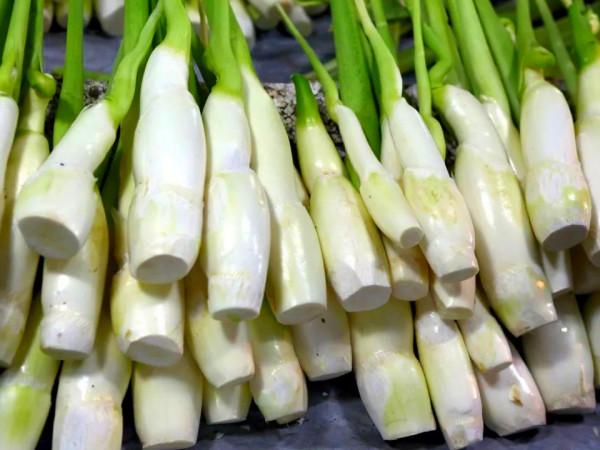 老人說“秋吃水八仙，賽過小神仙”，什麼是水八仙？看完漲知識了