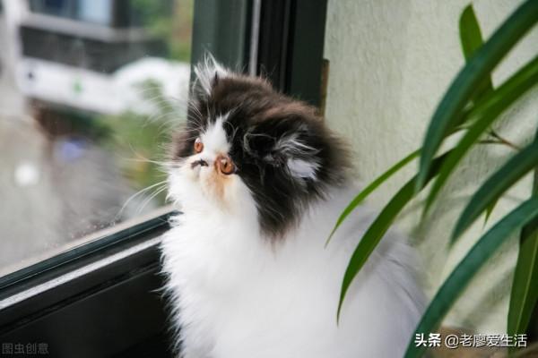 一個人，內心強大，比什麼都重要