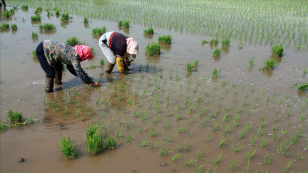 美國小夥認為中國落後破敗，來到中國一探究竟，結果不願再回美國