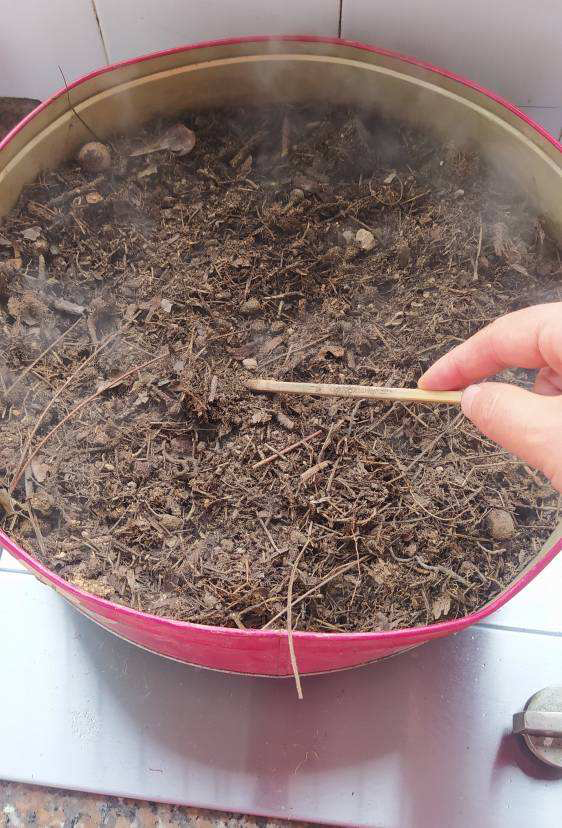 路邊撿4種“垃圾”，和土壤摻一起，就是養花萬能土，省一大筆錢