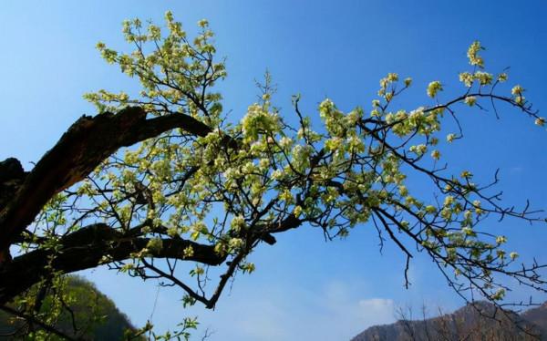 北京平谷深處一景區,天人合一的自然景觀,門票免費適合自駕 北京平谷深處一景區,天人合一的自然景觀,門票免費適合自駕