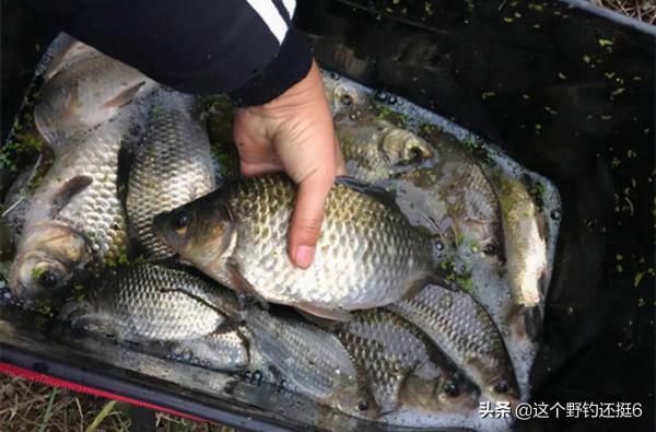 冬季有口打不著，總是錨魚怎麼回事？精準找底完善細節莫錯過魚情
