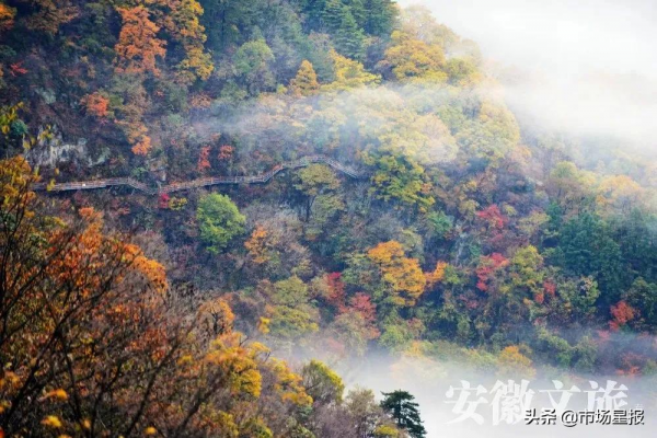 “夢幻王國”、一房書香、幸福驛站，2021，你來安徽“打卡”了嗎？
