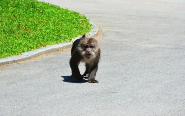 逃離城市！四川最美的10個神仙村落，第一個就心動了