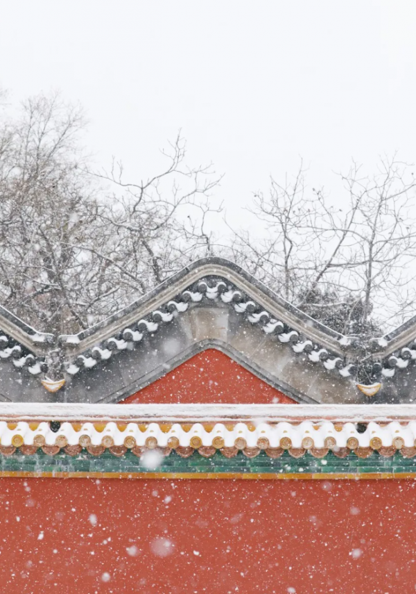 北方初雪美遍全網，國內這10個賞雪最佳城市，此生一定要去一次