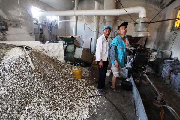 工資一個月6000，中午管一頓飯這個長活你願意去幹嗎？