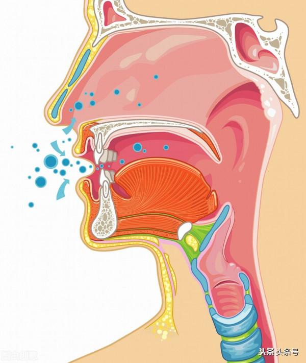寶寶“感冒”，發熱、流涕、咳嗽，好難受，該如何護理？