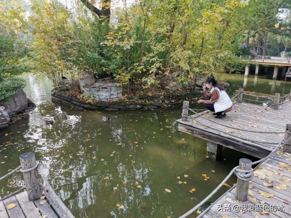 重遊北京動物園，覺得綠化美化比以前好了很多