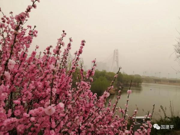 《踢毽子》《垂釣》詩歌三首 《踢毽子》《垂釣》詩歌三首