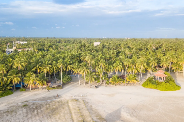 和廣東打了50架,也沒在“誰更會吃雞”這個問題上分出高下 和廣東打了50架,也沒在“誰更會吃雞”這個問題上分出高下