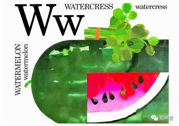 分享3本字母主題的經典英文繪本 分享3本字母主題的經典英文繪本