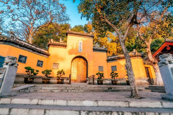 一入秋，南京就成了金陵