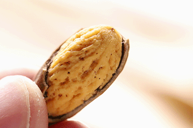 有什麼事，年後再說！冷門小眾年貨專題，一次安排7種