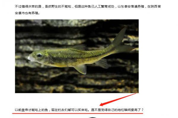 服了佳釣尼&comma;在作死的邊緣試探&comma;官方號還教授怎麼釣&OpenCurlyDoubleQuote;多鱗白甲魚&rdquo;