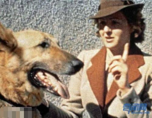 希特勒最愛的女人,派2千精銳黨衛軍保護,檔案至今被美軍封存 希特勒最愛的女人,派2千精銳黨衛軍保護,檔案至今被美軍封存