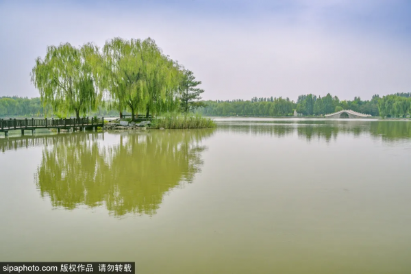 免費!這幾個公園風景如畫,還有竹林、大草坪~ 免費!這幾個公園風景如畫,還有竹林、大草坪~