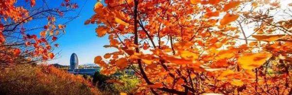 未來一個月,北京周邊的景色將是這樣的—— 未來一個月,北京周邊的景色將是這樣的——