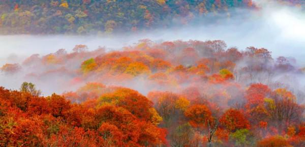 11月，看湖北，疊翠流金！
