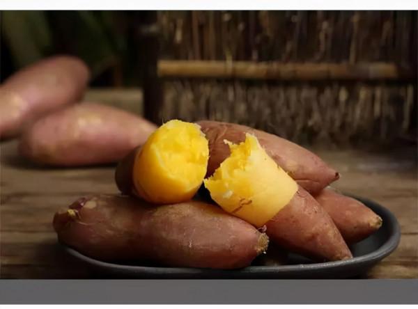 陳振龍：冒死偷回一根藤，經過7代人的努力，讓中國多了3億人口