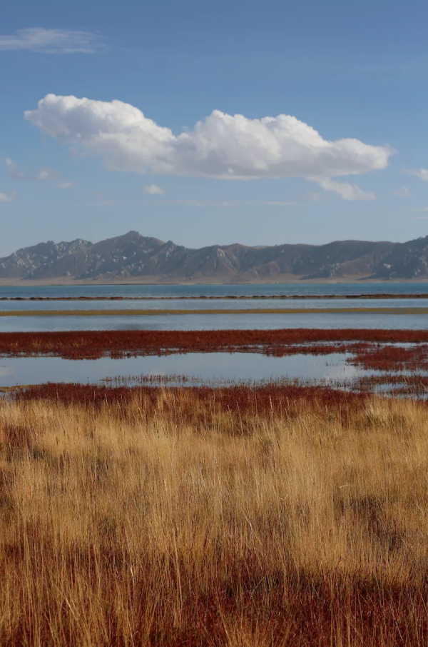 中國面積最大的國家公園,這片“人類禁區”終於限時開放了 中國面積最大的國家公園,這片“人類禁區”終於限時開放了