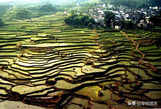 五律丨梯田——觀梅乾玲梯田有感
