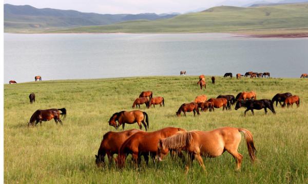 甘肅冷知識：推薦甘肅這22個世界之最和中國之最，你還知道哪些？