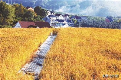 農村又開始查三個違規專案了,村村都涉及,村民早知曉好打算 農村又開始查三個違規專案了,村村都涉及,村民早知曉好打算