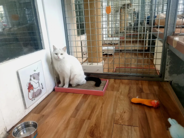 小嶽嶽：你知道我為了紅有多努力嗎？