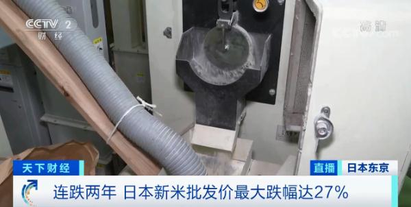 批發價跌幅達27%!唯一可以自給自足的糧食供需失衡,日本做出重要決定 批發價跌幅達27%!唯一可以自給自足的糧食供需失衡,日本做出重要決定