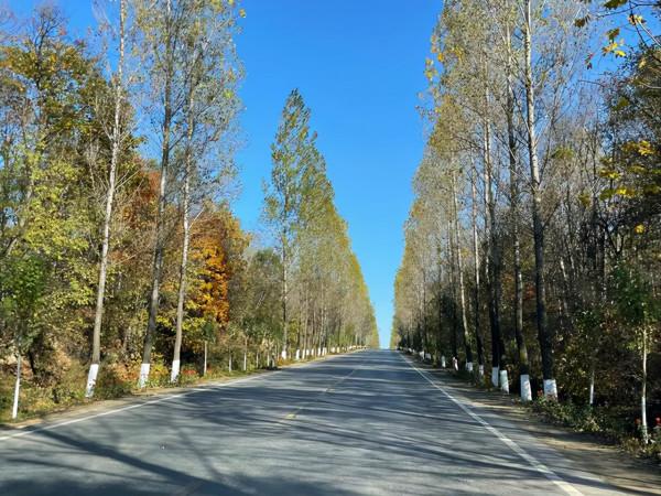 吉林記憶：一盤麻辣豆腐開啟餐飲文化，簡單飯菜卻是最深刻的印象
