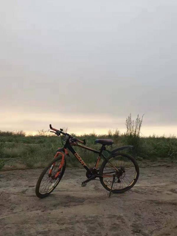 安哥拉往事（73）