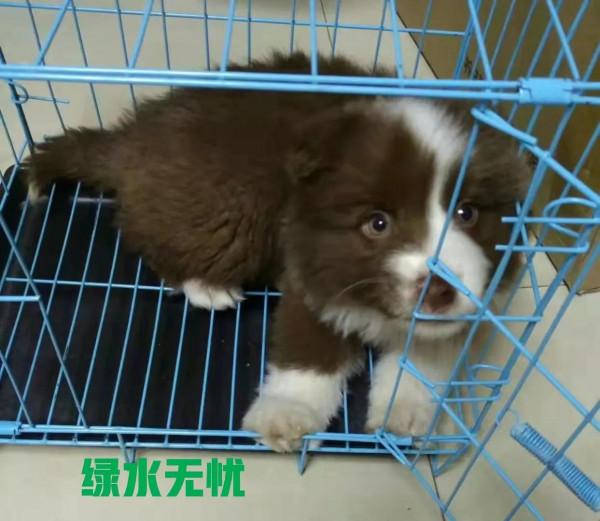 米莎，真的相忘於江湖嗎？