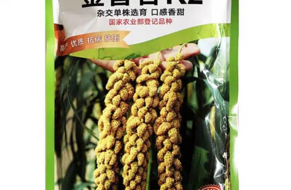 農民購買種子,包裝上標明不得留種,是商家陰謀,還是真的? 農民購買種子,包裝上標明不得留種,是商家陰謀,還是真的?