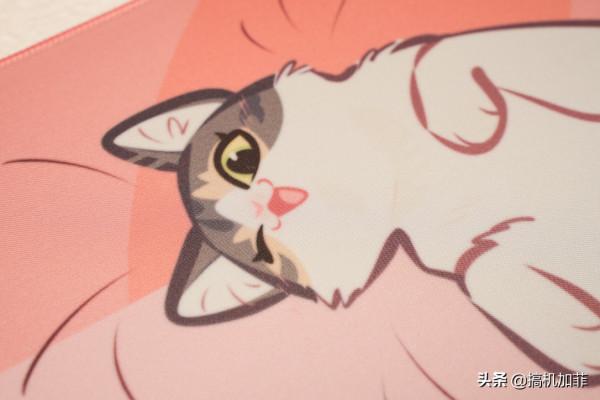 誰能想到滑鼠墊都這麼可愛,QPAD 萌寵滑鼠墊上手 誰能想到滑鼠墊都這麼可愛,QPAD 萌寵滑鼠墊上手