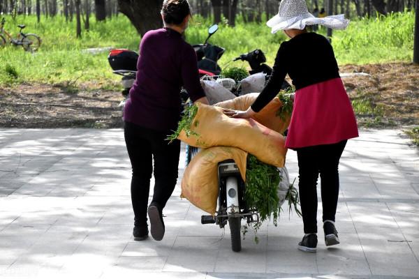 小媳婦熬成了老婆婆，39年，一輩子的愛人，她只願守護著你