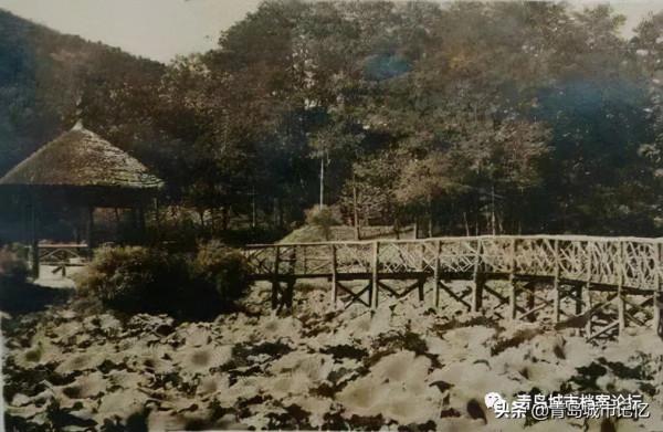 中山公園小西湖，你還記得她曾經的模樣嗎？