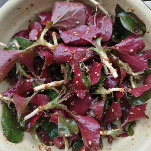 38種路邊的野菜，常常見到但不一定都認識，看你吃過幾種？